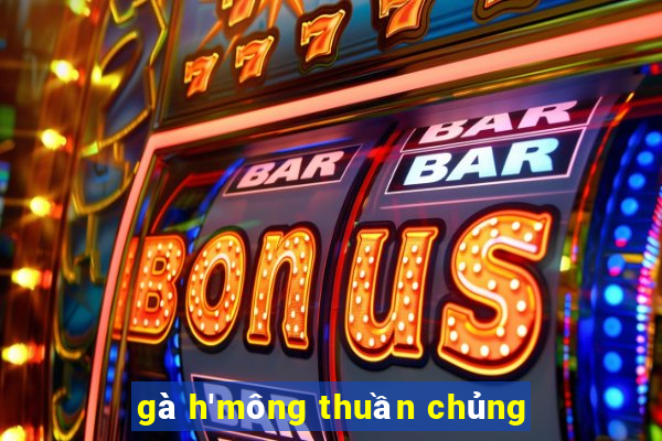 gà h'mông thuần chủng