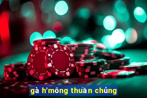 gà h'mông thuần chủng