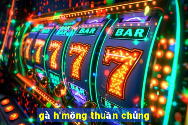 gà h'mông thuần chủng