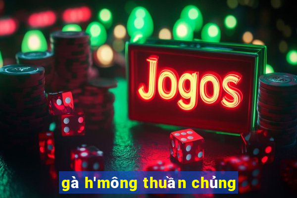 gà h'mông thuần chủng