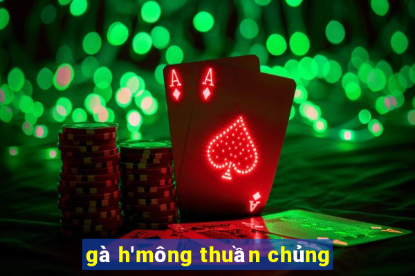 gà h'mông thuần chủng