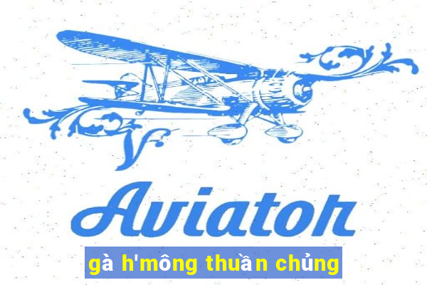 gà h'mông thuần chủng