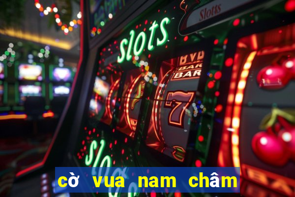 cờ vua nam châm chất lượng cao