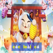 các loài cá dưới đáy đại dương