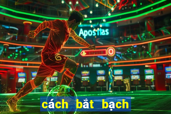 cách bắt bạch thủ lô