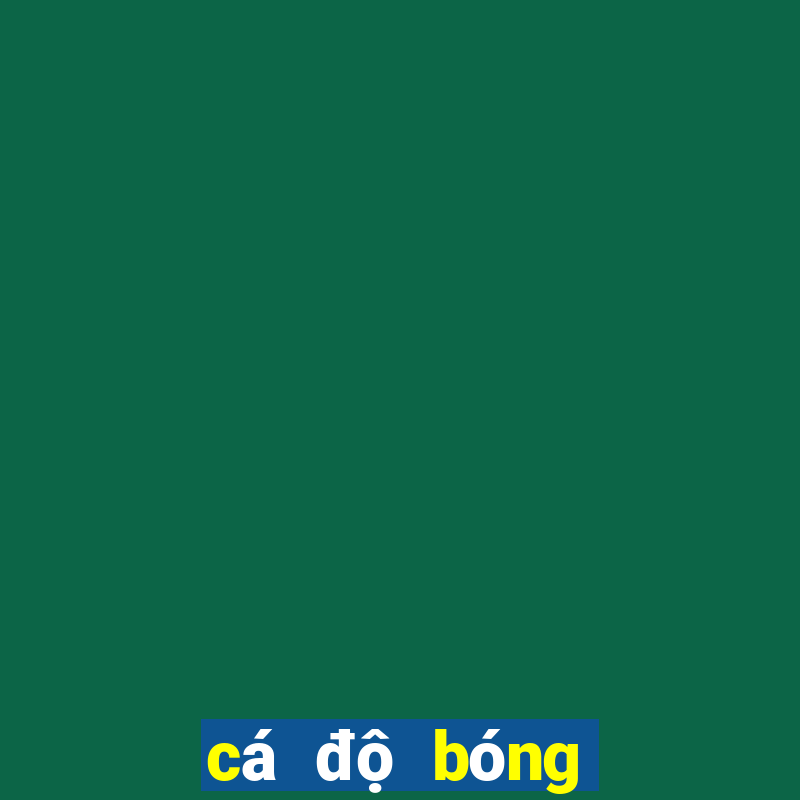 cá độ bóng đá online cmd368