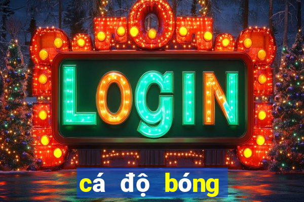 cá độ bóng đá online cmd368