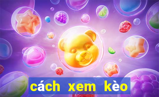 cách xem kèo tài xỉu bóng đá