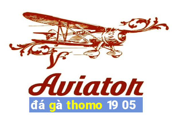 đá gà thomo 19 05