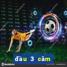 đầu 3 câm đánh con gì