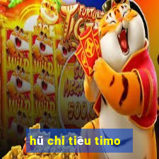 hũ chi tiêu timo