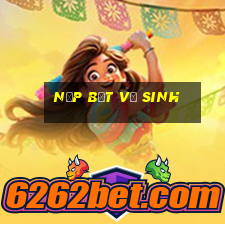 nắp bệt vệ sinh