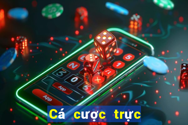 Cá cược trực tuyến Dubai