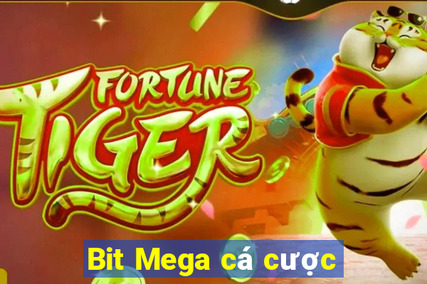 Bit Mega cá cược