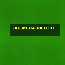 Bit Mega cá cược