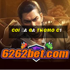 coi đá gà thomo c1