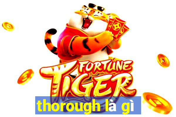 thorough là gì