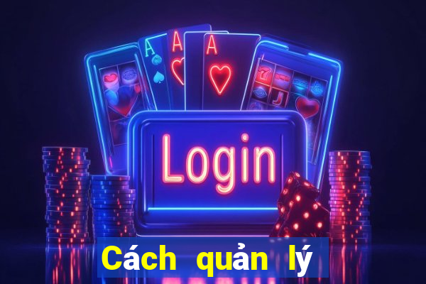 Cách quản lý vốn khi chơi Baccarat