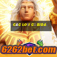 các loại cơ bida