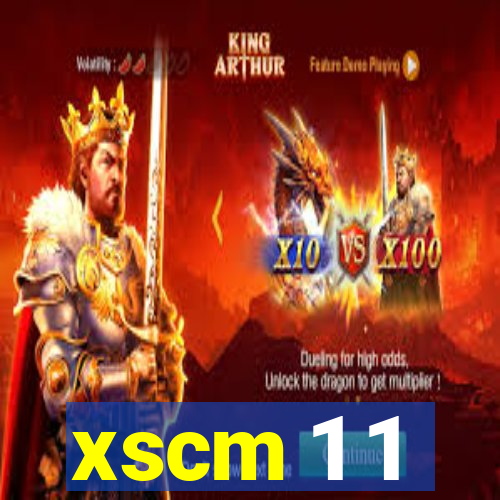 xscm 1 1