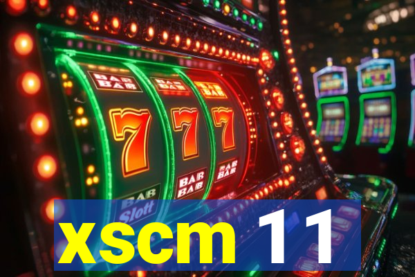 xscm 1 1