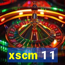 xscm 1 1