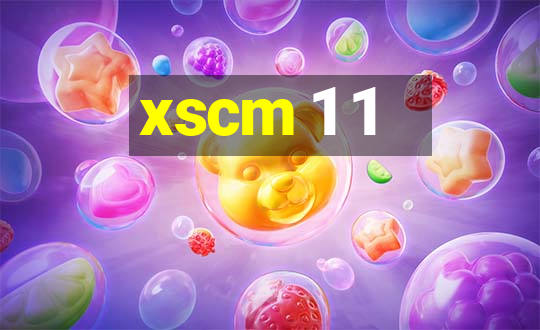 xscm 1 1