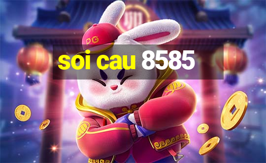 soi cau 8585