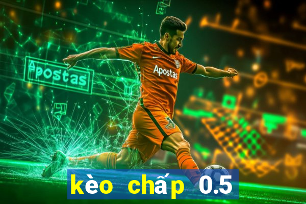 kèo chấp 0.5 ăn bao nhiều