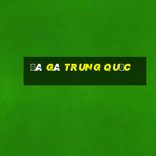 đá gà trung quốc