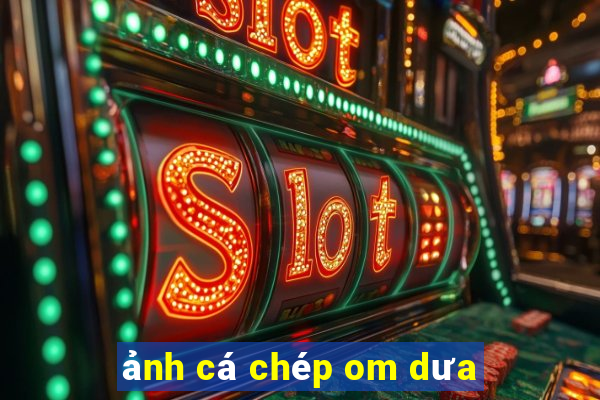 ảnh cá chép om dưa