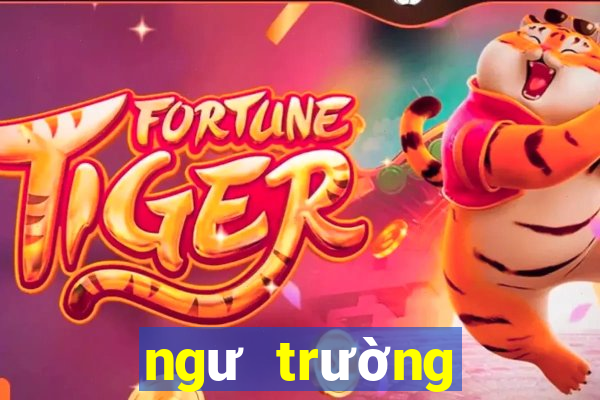 ngư trường vàng apk