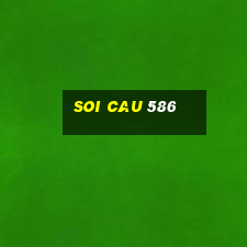 soi cau 586