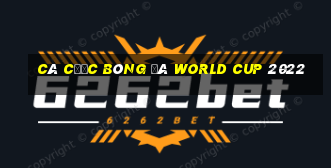 cá cược bóng đá world cup 2022