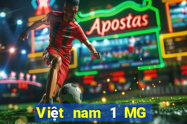 Việt nam 1 MG điện tử