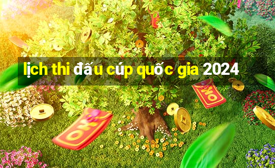 lịch thi đấu cúp quốc gia 2024