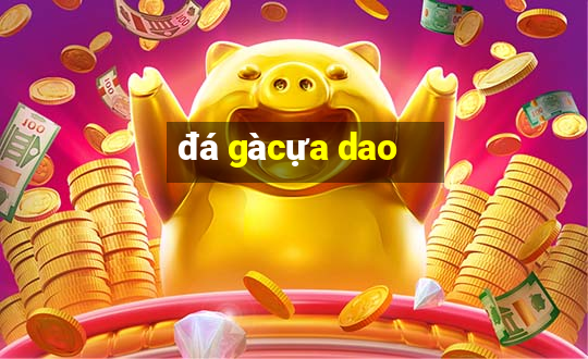 đá gà cựa dao