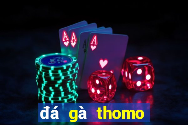 đá gà thomo trận 19 hôm nay