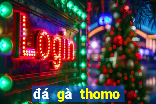 đá gà thomo trận 19 hôm nay