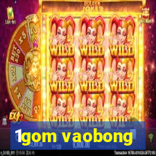 1gom vaobong