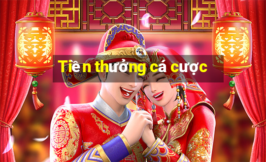 Tiền thưởng cá cược