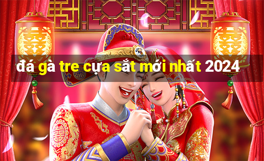 đá gà tre cựa sắt mới nhất 2024