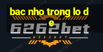 bac nho trong lo de