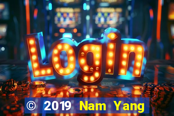 © 2019 Nam Yang Le và Chae