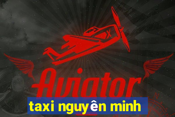 taxi nguyên minh