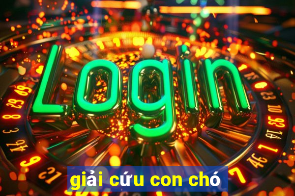 giải cứu con chó