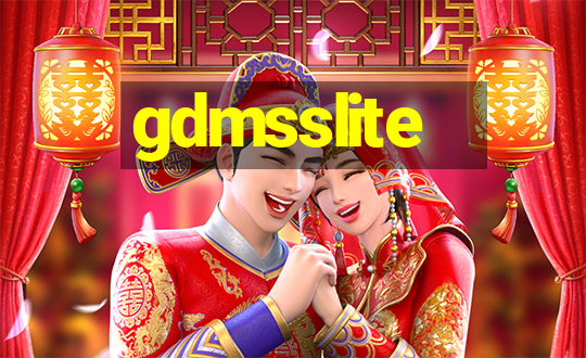 gdmsslite