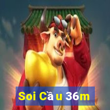 Soi Cầu 36m