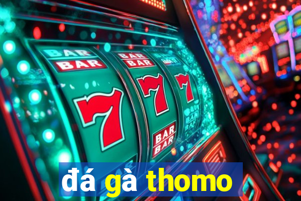 đá gà thomo