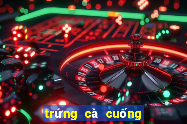 trứng cà cuống là gì